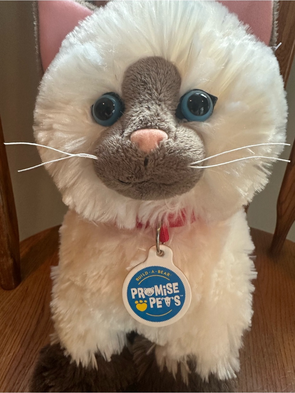 Build a Bear Ragdoll Siamese Himalayan Plush Stuffed Animal Promise Pets Collar
